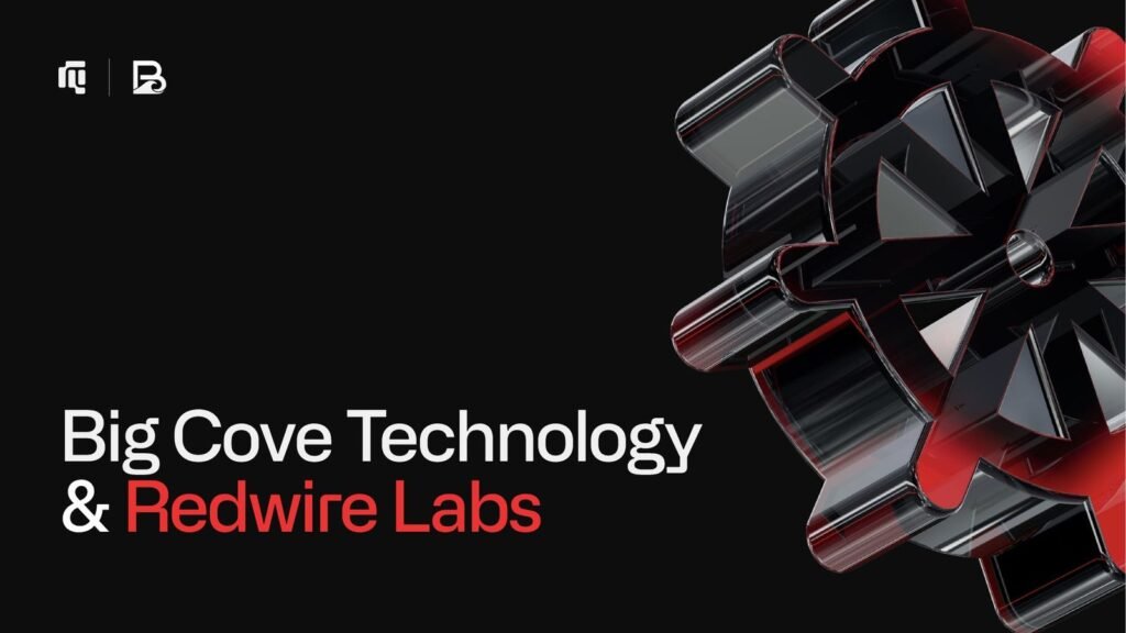 Big Cove Technology Case Study: Page 1 of 20